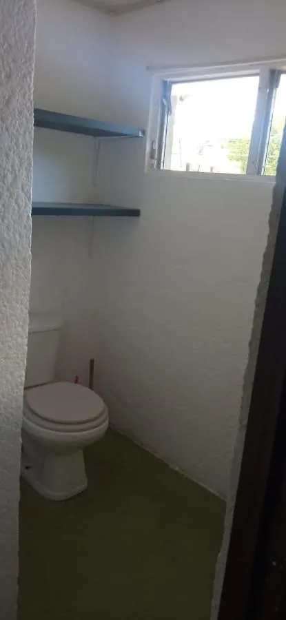 Balagan Departamento Frida Apartment Cancun Mexico